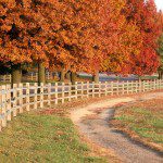 Cedar Crest Biking – Visit Topeka Inc