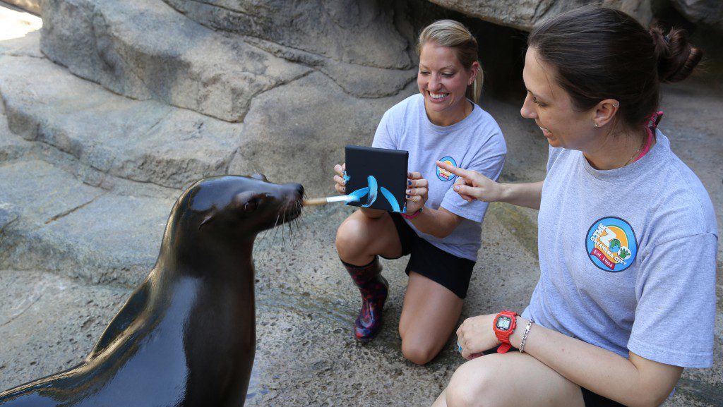 Photo courtesy Oklahoma City Zoo.