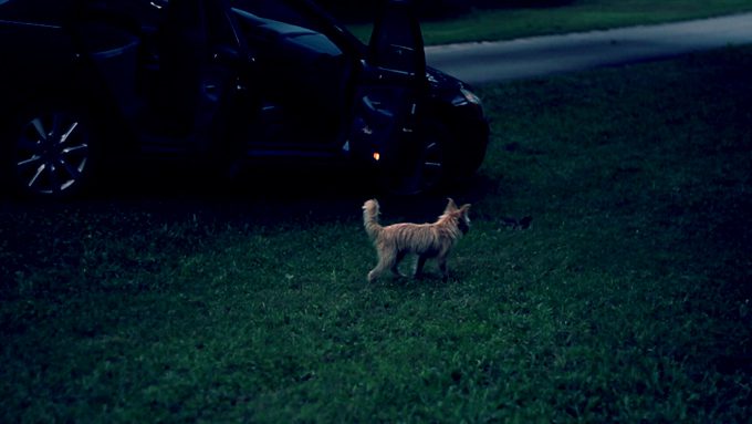 A still from artist John C. Kelley's film installation "Harmless," on exhibit through Aug 28 at Living Arts of Tulsa. Courtesy Living Arts of Tulsa.