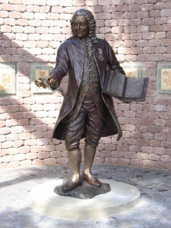 Linnaeus in Bronze Large 014