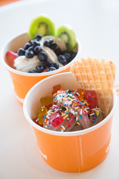 Frozen yogurt topped with fresh fruit, candy, cereal and more can be had at one of the state’s Orange Leaf Frozen Yogurt locations. Photo by Brent Fuchs.