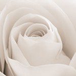 shutterstock_71853628