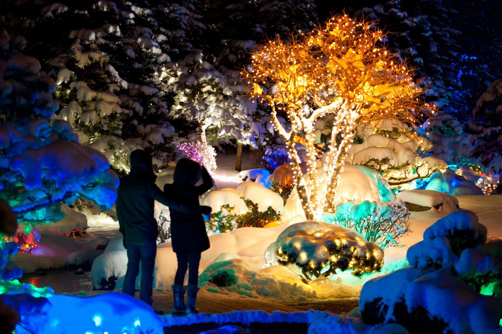 Blossoms of Light, Denver, Colo. Photo courtesy Denver Botanic Gardens.