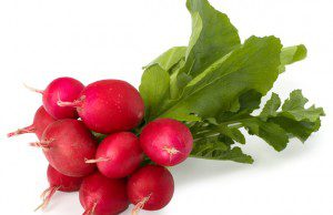 radishes-shutterstock_77664859