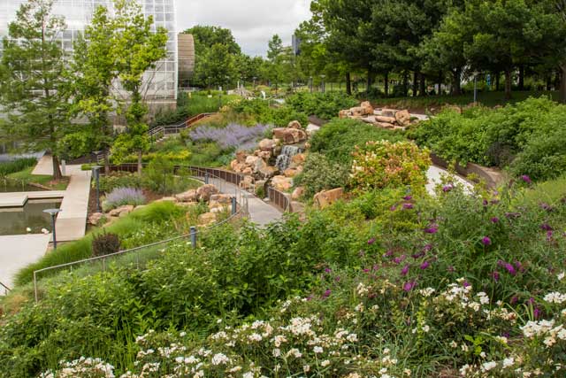 Photo courtesy Myriad Botanical Gardens.