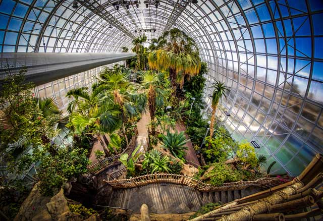 Photo courtesy Myriad Botanical Gardens.