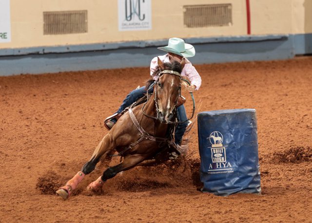 Photo courtesy The American Quarter Horse Journal.