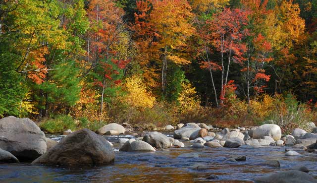 Maine’s peak foliage viewing times vary by region.