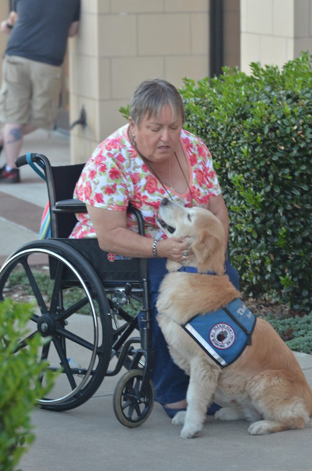 pets-servicedog-100616-1281