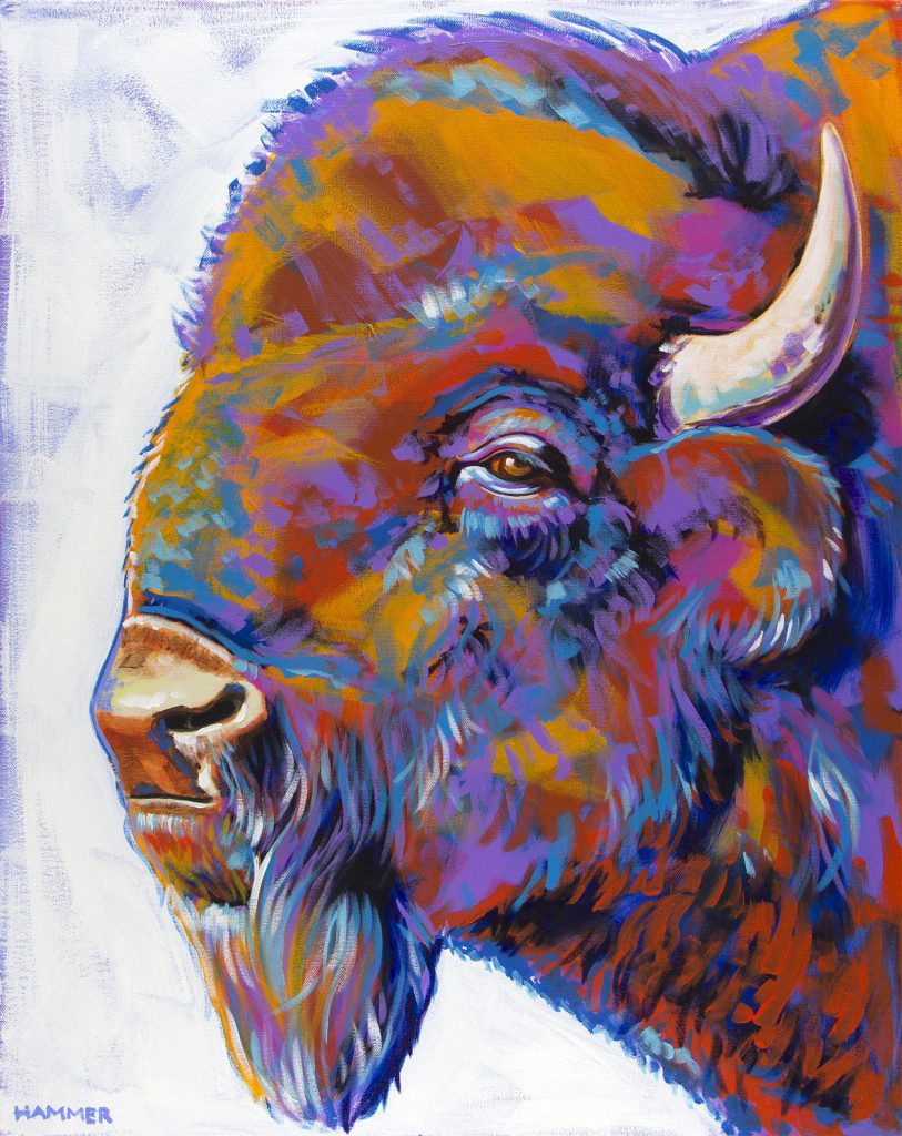 Where the Buffalo Roam by John Hammer