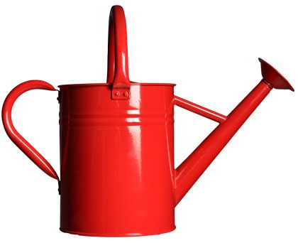The watering can: A standard but necessary staple of every yard. $24.99