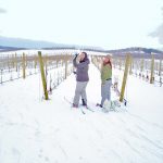 skiing vineyard.JPG web