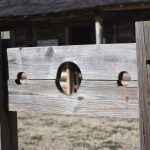 Stocks at Fort Gibson Historic Site