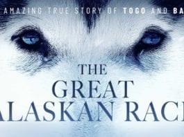 ‘All the World’s a Stage’