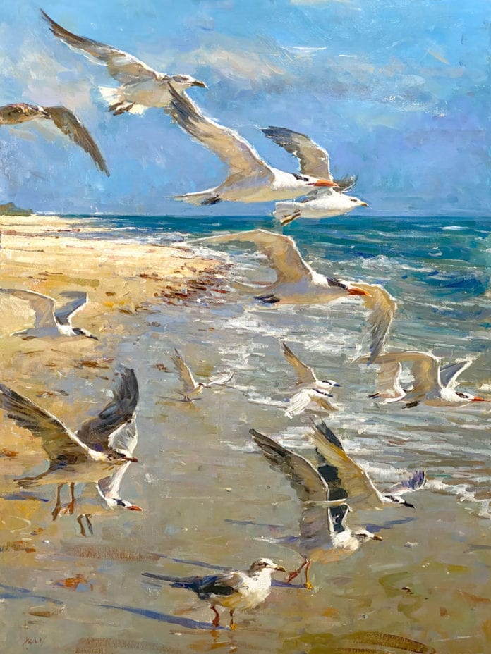 48x36 Sanibel Seagulls