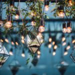 Florariums with flowers and stones hang among the Edison blubls