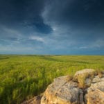 Tallgrass by Mike Fuhr_The Nature Conservancy
