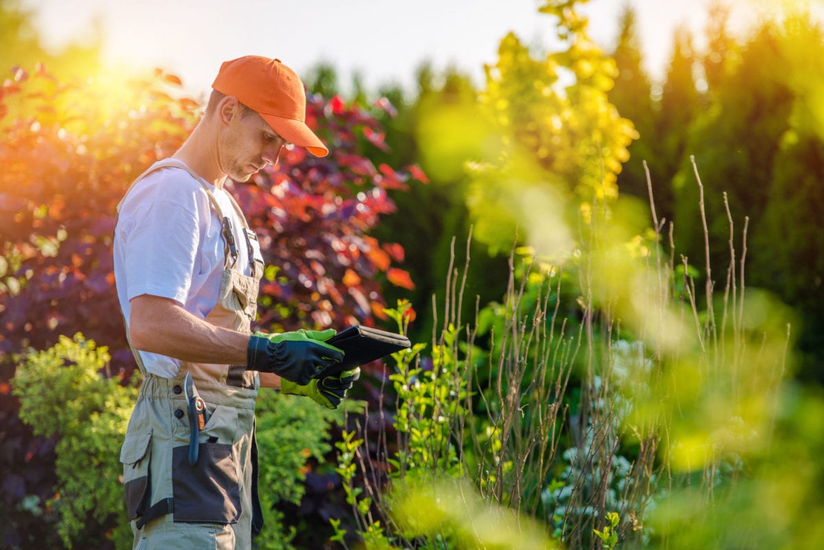 Lululemon Drop In Rate Orangetheory 12  International Society of Precision  Agriculture