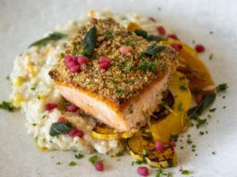 The New Balanced Bite