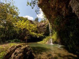 Small-Town Charm Meets Big-Picture Opportunity