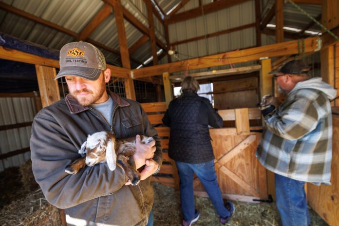 Tanglefoot Farms