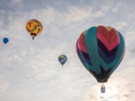 Festivals and Family Fun