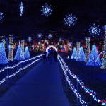 Screenshot 2015-11-23 11.30.00